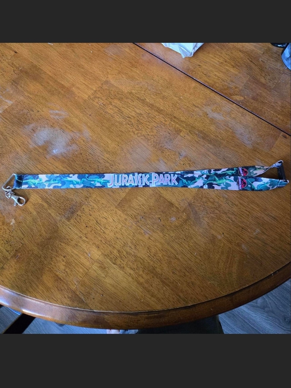 Universal Studios Jurassic Park Lanyard